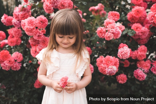 c8-np_Girl in pink dress posing with pink rose flowers outdoor_428n70_free